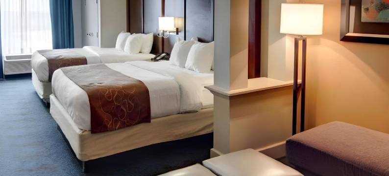 阿肯色州特克萨卡纳舒适全套房酒店(Comfort Suites Texarkana Arkansas)图片