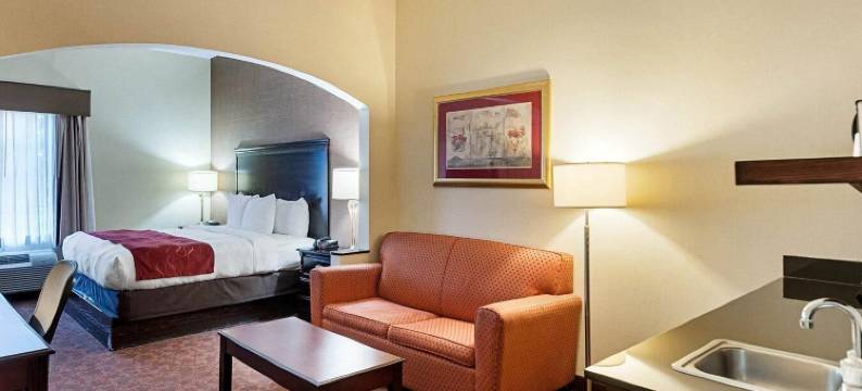 达勒斯机场舒适套房酒店(Comfort Suites Dulles Airport)图片