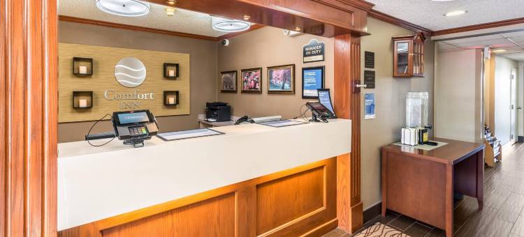 费斯特-南圣路易斯舒适酒店(Comfort Inn Festus-St Louis South)图片
