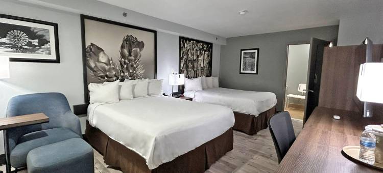 克洛维斯卡农空军基地 SureStay Plus by Best Western(SureStay Plus by Best Western Cannon A.F.B.)图片