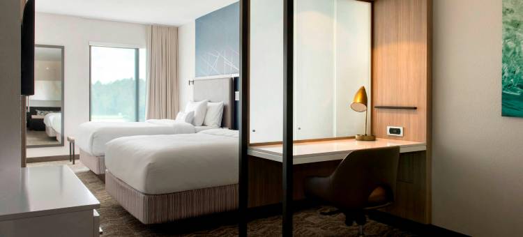 坦帕阳光海岸帕克威万豪SpringHill Suites酒店(SpringHill Suites Tampa Suncoast Parkway)图片