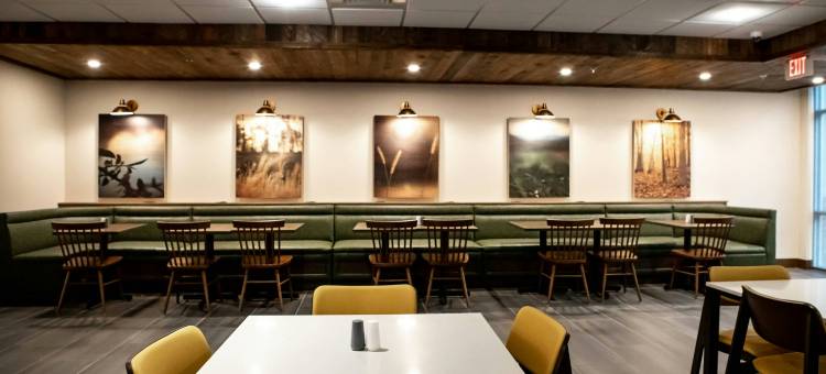里士满机场万枫酒店及套房(Fairfield Inn & Suites Richmond Airport)图片