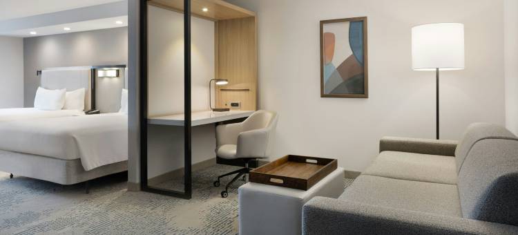 米德兰SpringHill Suites酒店(SpringHill Suites Midland)图片