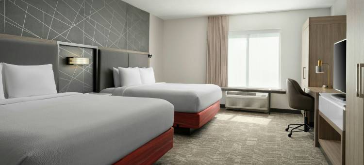 奥兰多主题乐园/布纳维斯塔湖SpringHill Suites酒店(SpringHill Suites by Marriott Orlando Theme Parks/Lake Buena Vista)图片