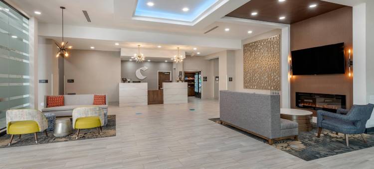 格林维尔机场舒适套房酒店(Comfort Suites Greenville Airport)图片