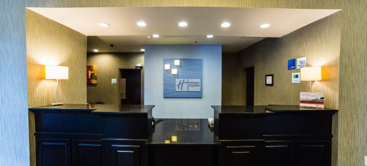 智选假日套房酒店罗金厄姆(Holiday Inn Express & Suites Rockingham)图片