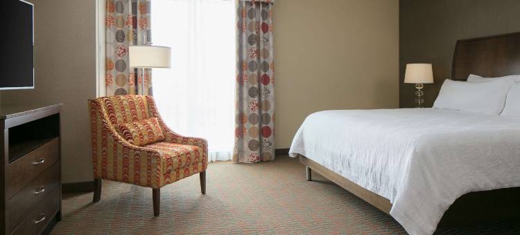 曼哈顿希尔顿花园酒店(Hilton Garden Inn Manhattan)图片