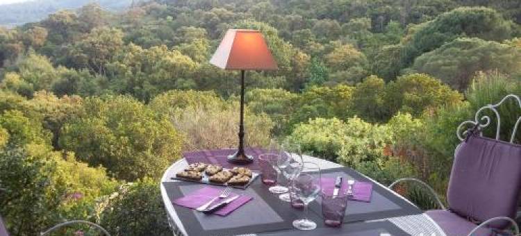 Massacan-Vue Mer图片