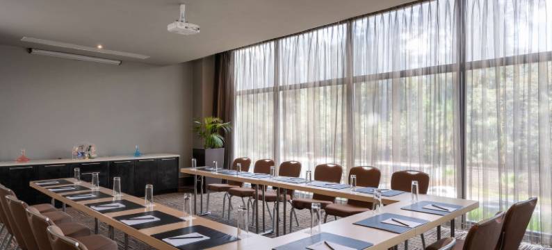 亚的斯亚贝巴丽笙酒店(Radisson Blu Hotel, Addis Ababa)图片