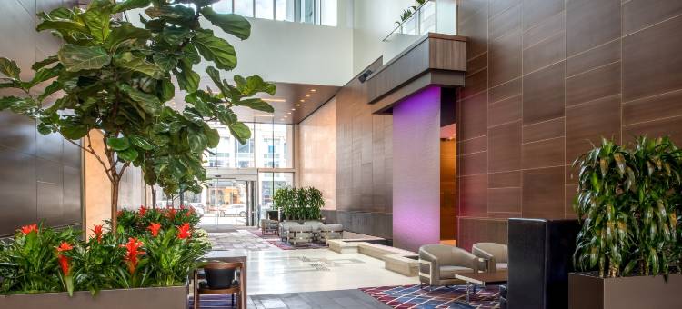 西雅图市区先民广场希尔顿安泊酒店(Embassy Suites by Hilton Seattle Downtown Pioneer Square)图片