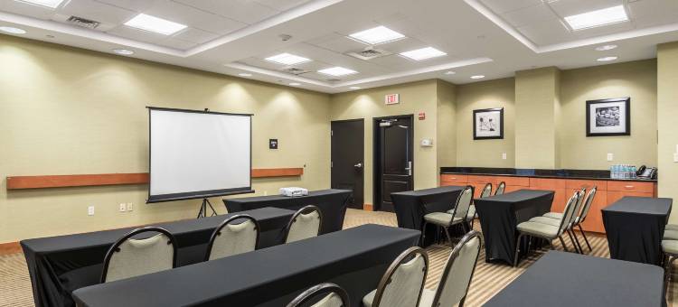 奥兰多南布埃纳维斯塔湖欢朋套房酒店(Hampton Inn & Suites Orlando-South Lake Buena Vista)图片