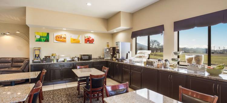 圣路易斯凯西维尔凯艺套房酒店(Quality Inn & Suites Caseyville - St. Louis)图片