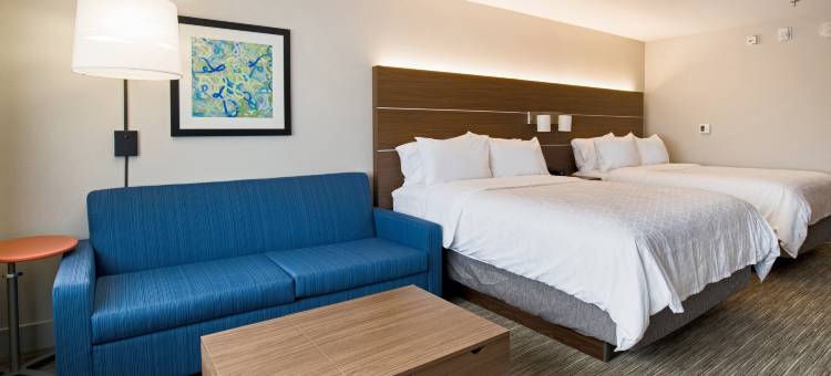 智选假日套房酒店-拉辛(Holiday Inn Express & Suites Racine)图片