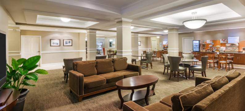 智选假日套房酒店新伊比利亚 - 艾利岛(Holiday Inn Express & Suites NEW IBERIA-AVERY ISLAND by IHG)图片