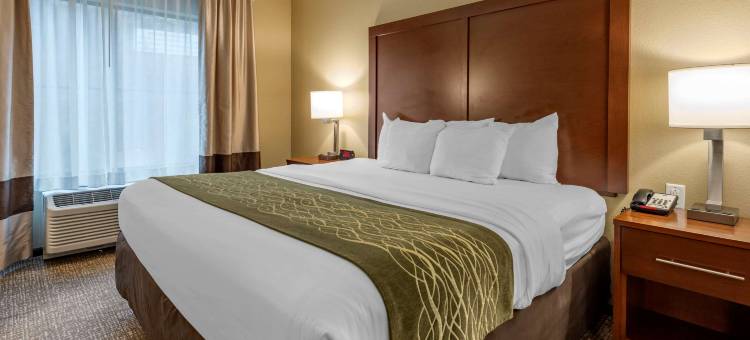 Comfort Inn & Suites Pittsburgh South图片