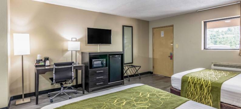 美洲最佳价值酒店奥佩利卡(Americas Best Value Inn Opelika)图片