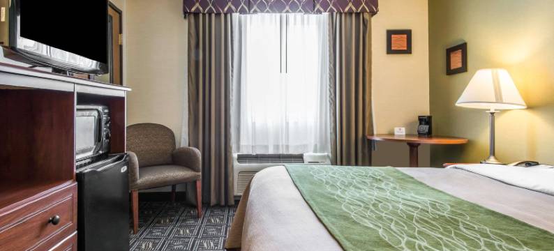 韦尔顿舒适酒店(Comfort Inn)图片