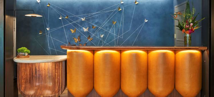 华盛顿特区总督酒店(Viceroy Washington DC)图片