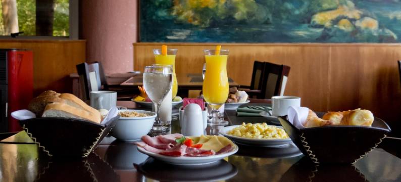 宝特德尔伊瓜苏港亚美利安酒店(Amérian Portal Del Iguazú Hotel)图片