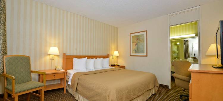 棕榈泉巴港精品酒店(Travelodge by Wyndham Palm Springs)图片