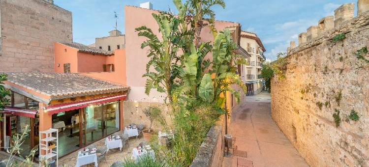 阿尔库迪亚小酒店(Alcudia Petit - Turismo de Interior)图片