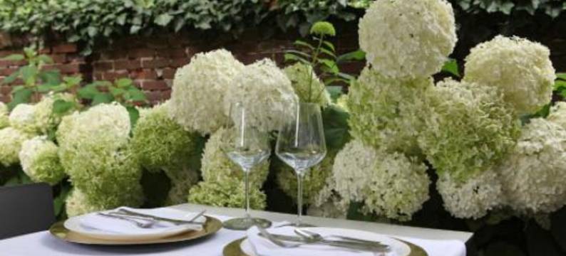 斯特拉曼精品酒店(Boutique Hotel Straelman)图片