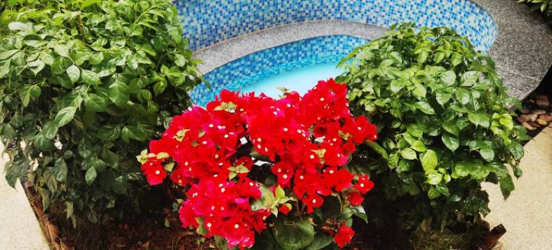 奥园花的世界度假别墅(顺英大道1号分店)图片