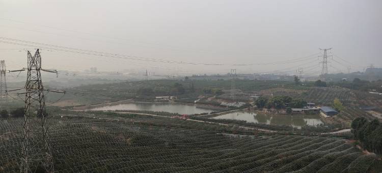 优美乐公寓(清金路分店)图片