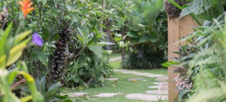 乌布特拉格民宿(Telaga Homestay Ubud)图片