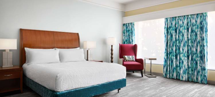 达拉斯理查森希尔顿花园酒店(Hilton Garden Inn Dallas/Richardson)图片