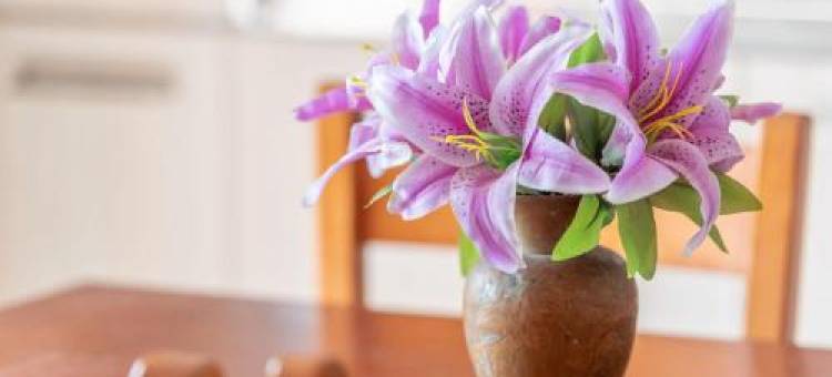 Apartamento Portosun Caracol图片