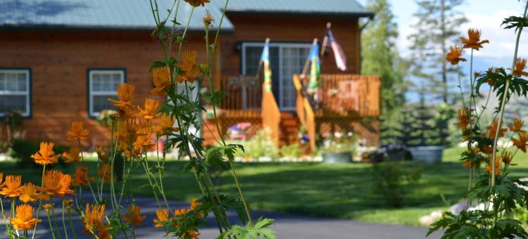 阿拉斯加湖露西尔食宿酒店(Alaska's Lake Lucille Bed & Breakfast)图片