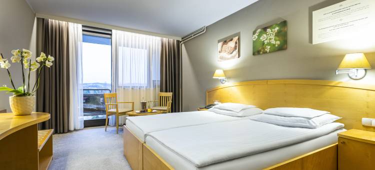 阿扎酒店 - 温泉3000 - 萨瓦酒店及度假村(Hotel Ajda - Terme 3000 - Sava Hotels & Resorts)图片
