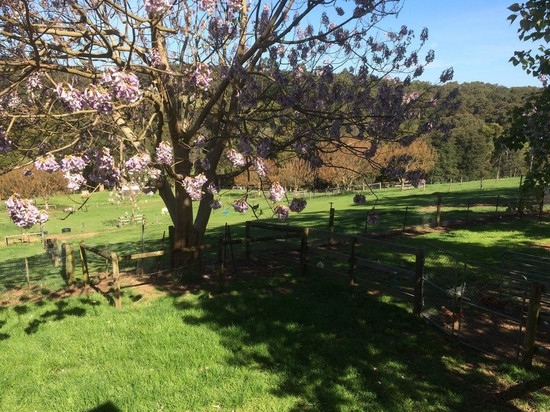 埃莫拉尔德岭住宿加早餐旅馆