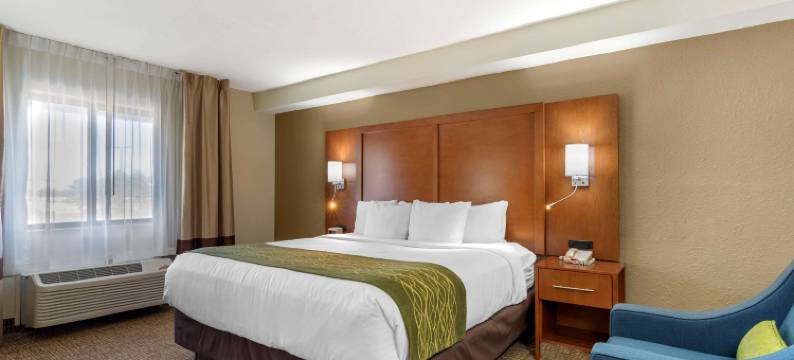 舒适套房酒店-近罗宾斯空军基地正门(Comfort Inn & Suites - Near Robins Air Force Base Main Gate)图片