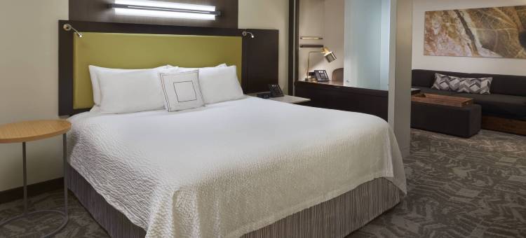 多伦多旺市万豪SpringHill酒店(SpringHill Suites Toronto Vaughan)图片