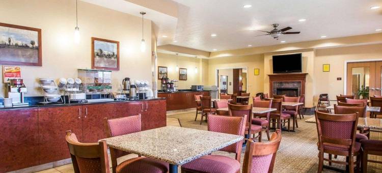 梅里尔维尔舒适套房酒店 - 近 US 30(Comfort Suites Merrillville Near US 30)图片