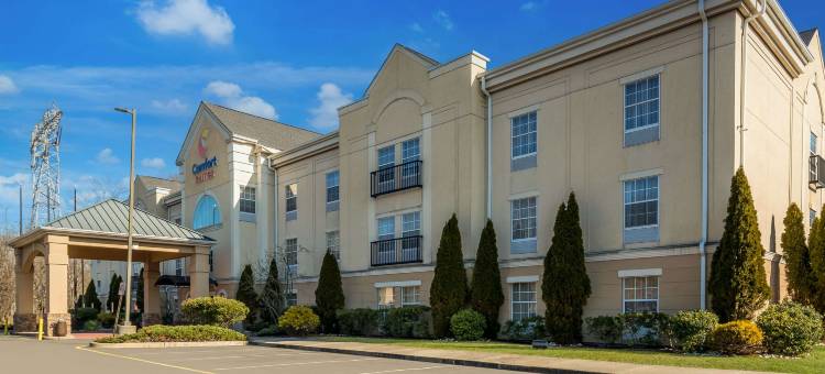 大学附近舒适套房酒店(Comfort Suites Near University)图片