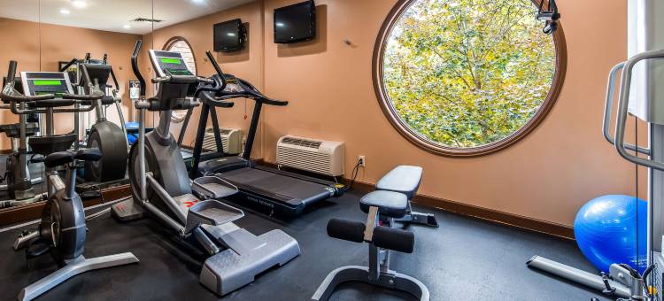 贝斯特韦斯特普勒斯瀑布旅馆&套房酒店(Best Western Plus the Inn  Suites at the Falls)图片