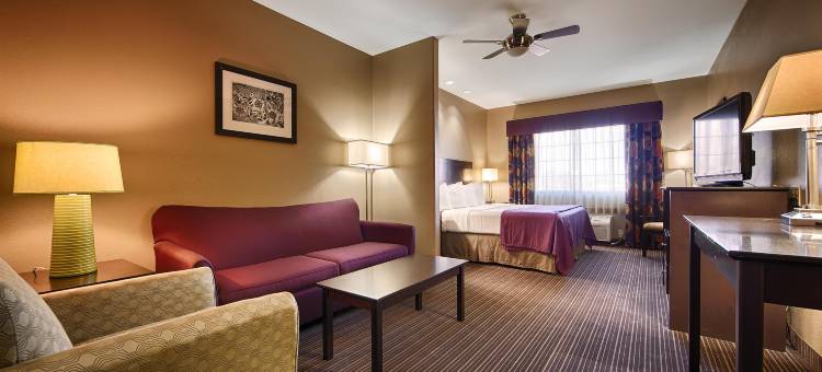 吉丁士贝斯特韦斯特套房酒店(Best Western Giddings Inn  Suites)图片