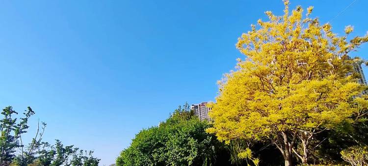 海景民宿(迎泽路分店)图片