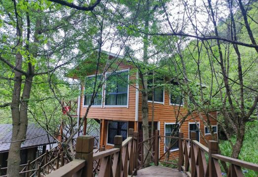 Foping Baima Star Boutique B&B Hotel Overview