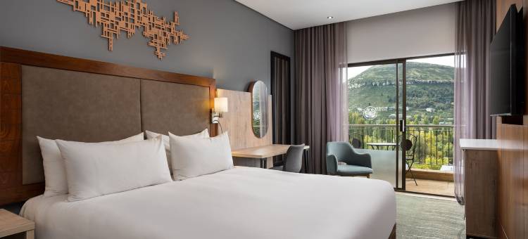 克拉伦斯Protea酒店(Protea Hotel Clarens)图片