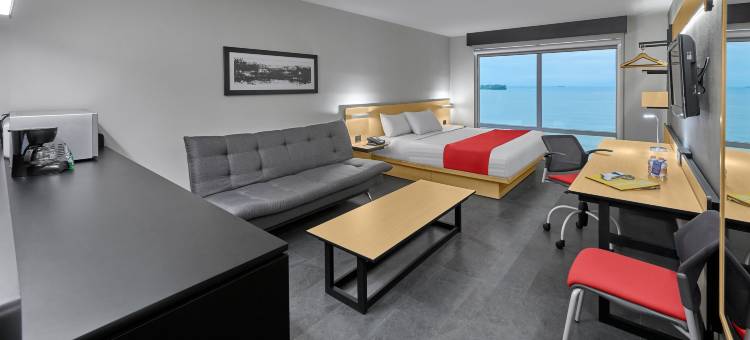 韦拉克鲁斯城市快捷酒店(City Express by Marriott Veracruz)图片