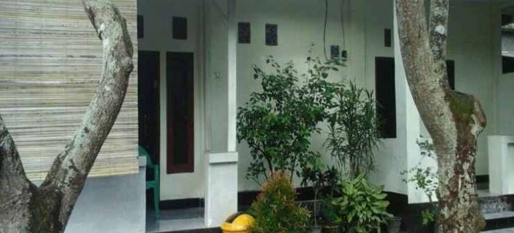 佩德克民宿(Pedek Homestay)图片