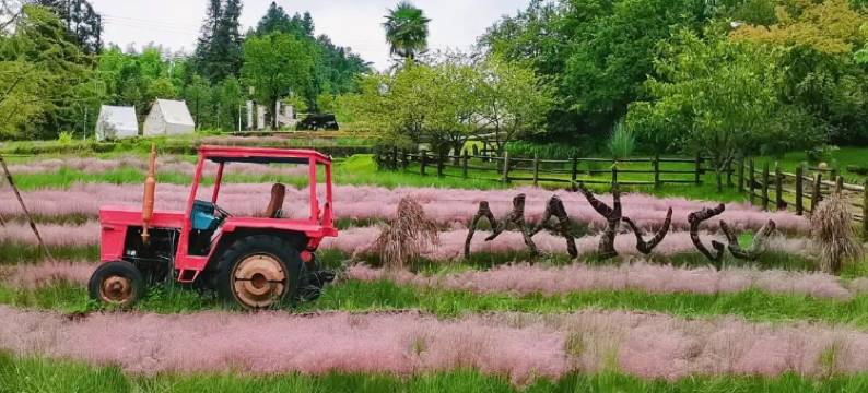 腾冲玛御谷山谷时光温泉民宿图片