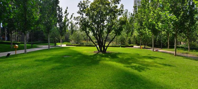 MS公寓(滨湖东街分店)图片