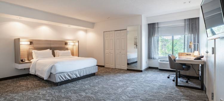 SpringHill Suites Gainesville图片