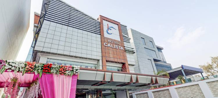 Treebo Calista, Patel Nagar图片