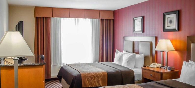 汉娜酒店(Hotel Hanna)图片